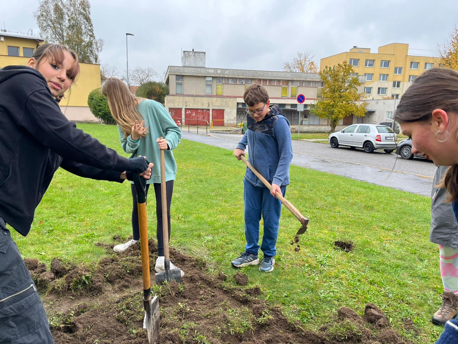PROJEKT KROKUS, 8.A