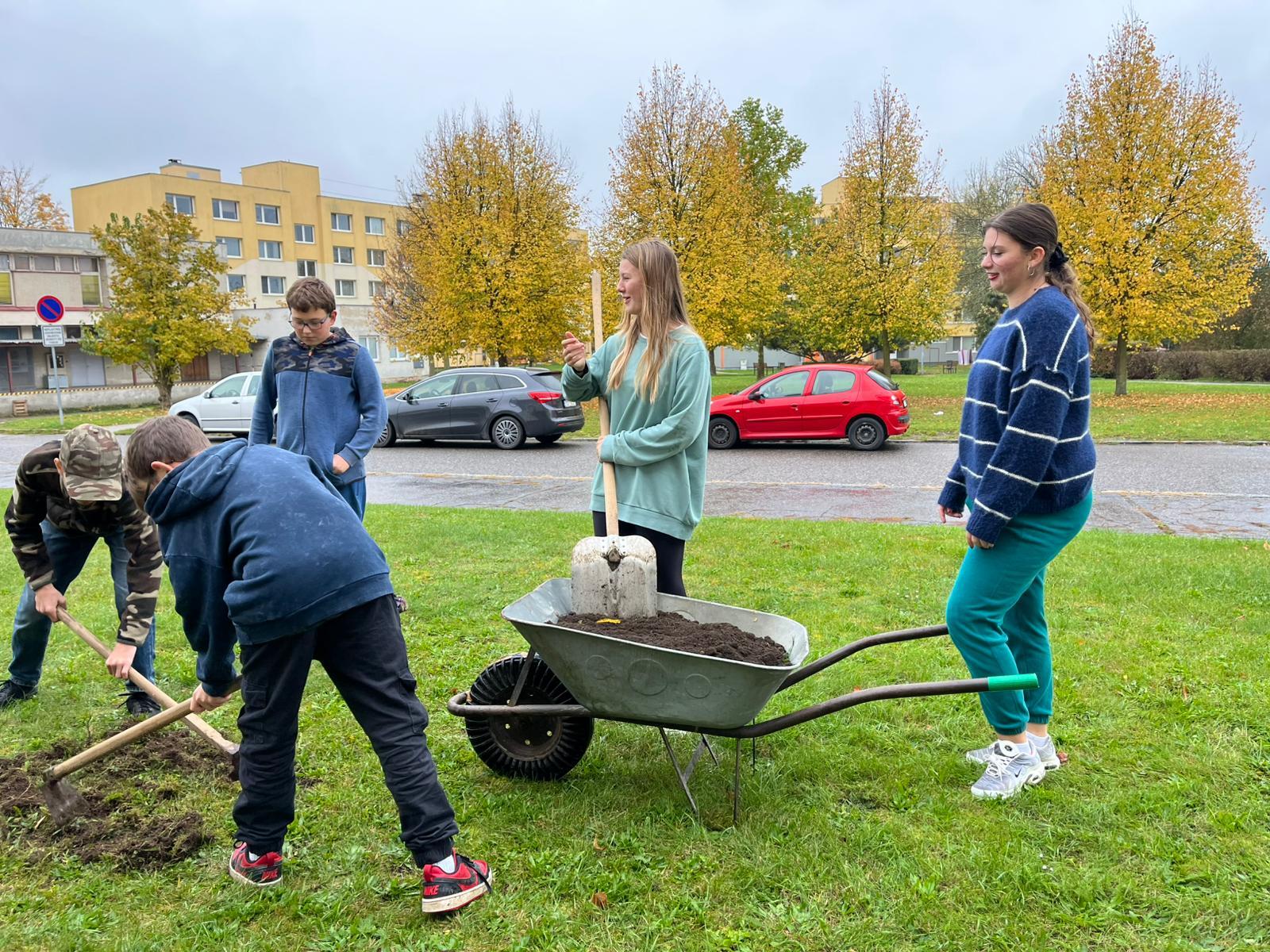 PROJEKT KROKUS, 8.A