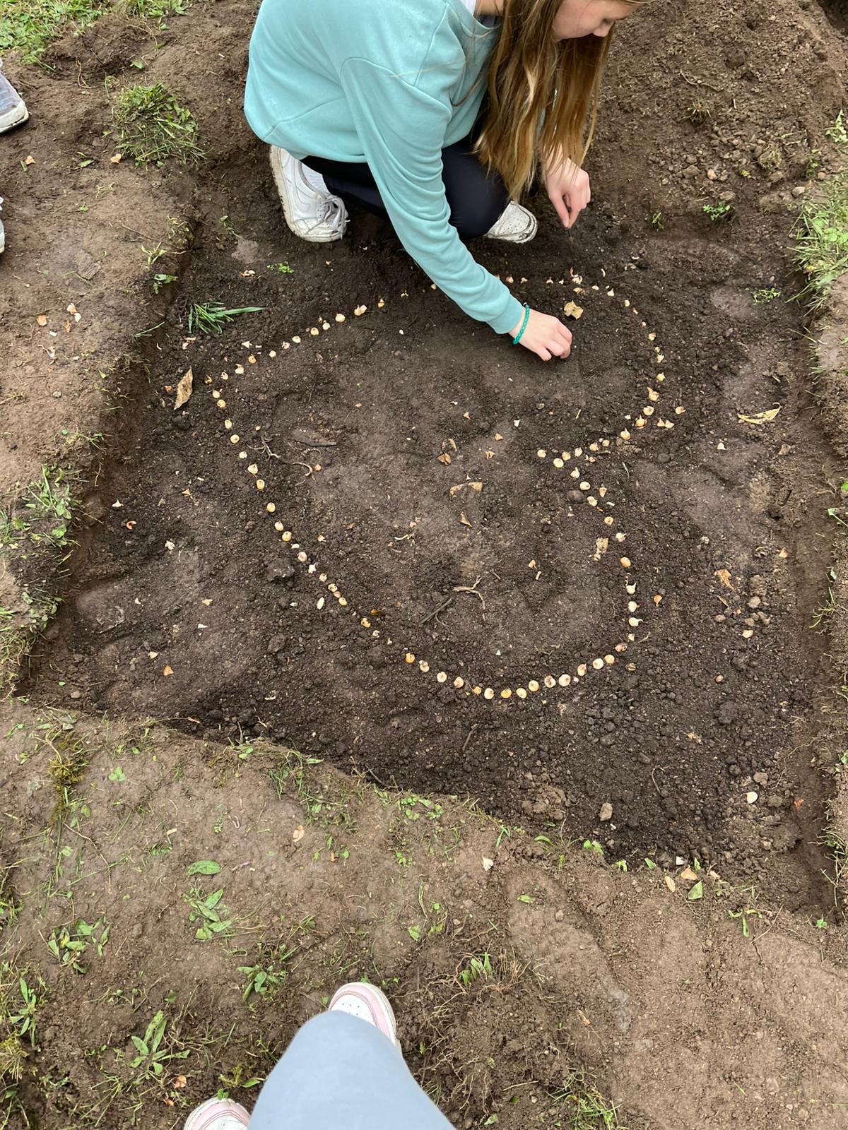 PROJEKT KROKUS, 8.A
