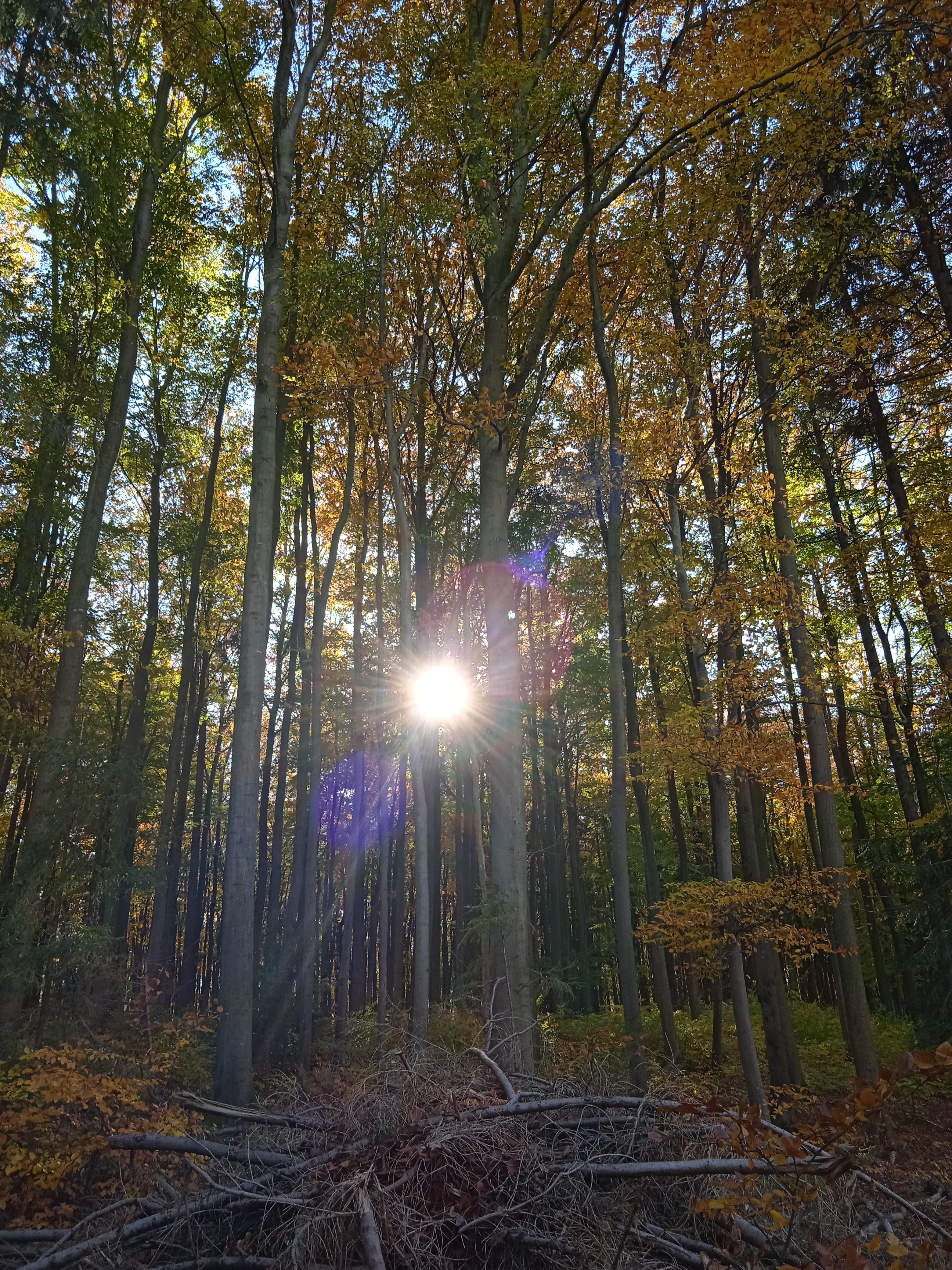 Vítězná fotografie Nely Voběrkové z 6. B