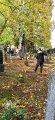 hrabání  listí na hřbitově