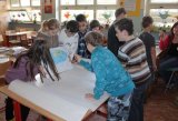 zvir2012-19-thmb.jpg