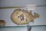ital-2012-5-thmb.jpg