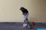 img-0918-thmb.jpg
