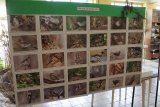 vyst2016-46-thmb.jpg