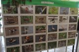 vyst2016-48-thmb.jpg