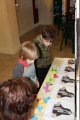 img-2289-thmb.jpg